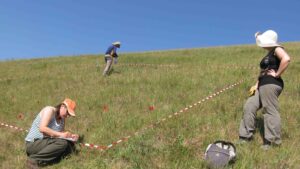 Scopri di più sull'articolo 06-08-2015 L’Università di Camerino su – Science