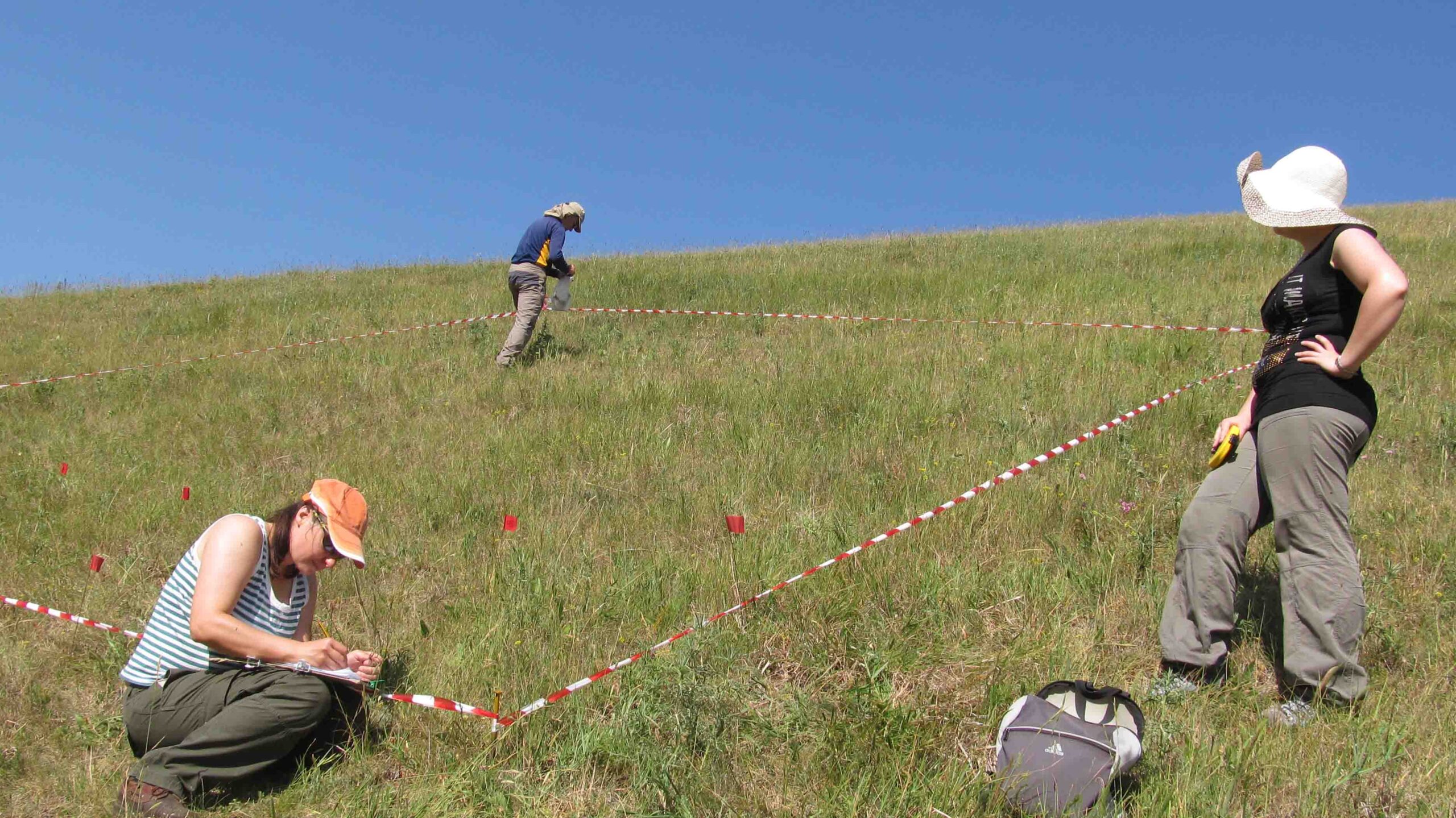 Al momento stai visualizzando 06-08-2015 L’Università di Camerino su – Science