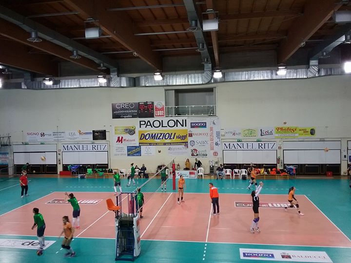 roana team 80 2
