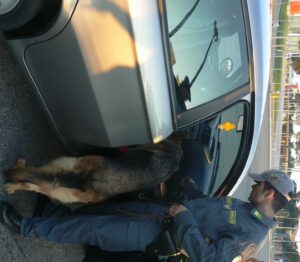 Scopri di più sull'articolo 24-02-2016 Guardie di Finanza, arresto per droga a Civitanova Marche