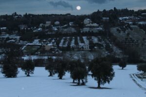 Scopri di più sull'articolo 11-01-2017 Civitanova imbiancata, un incanto della natura
