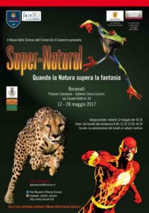 Scopri di più sull'articolo 05-05-2017 Unicam, a Recanati la seconda tappa di super Natural