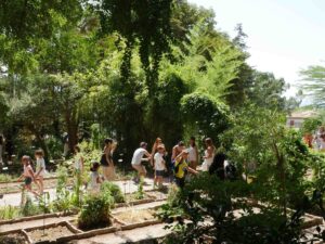 Scopri di più sull'articolo Unicam, attività estive all’orto botanico