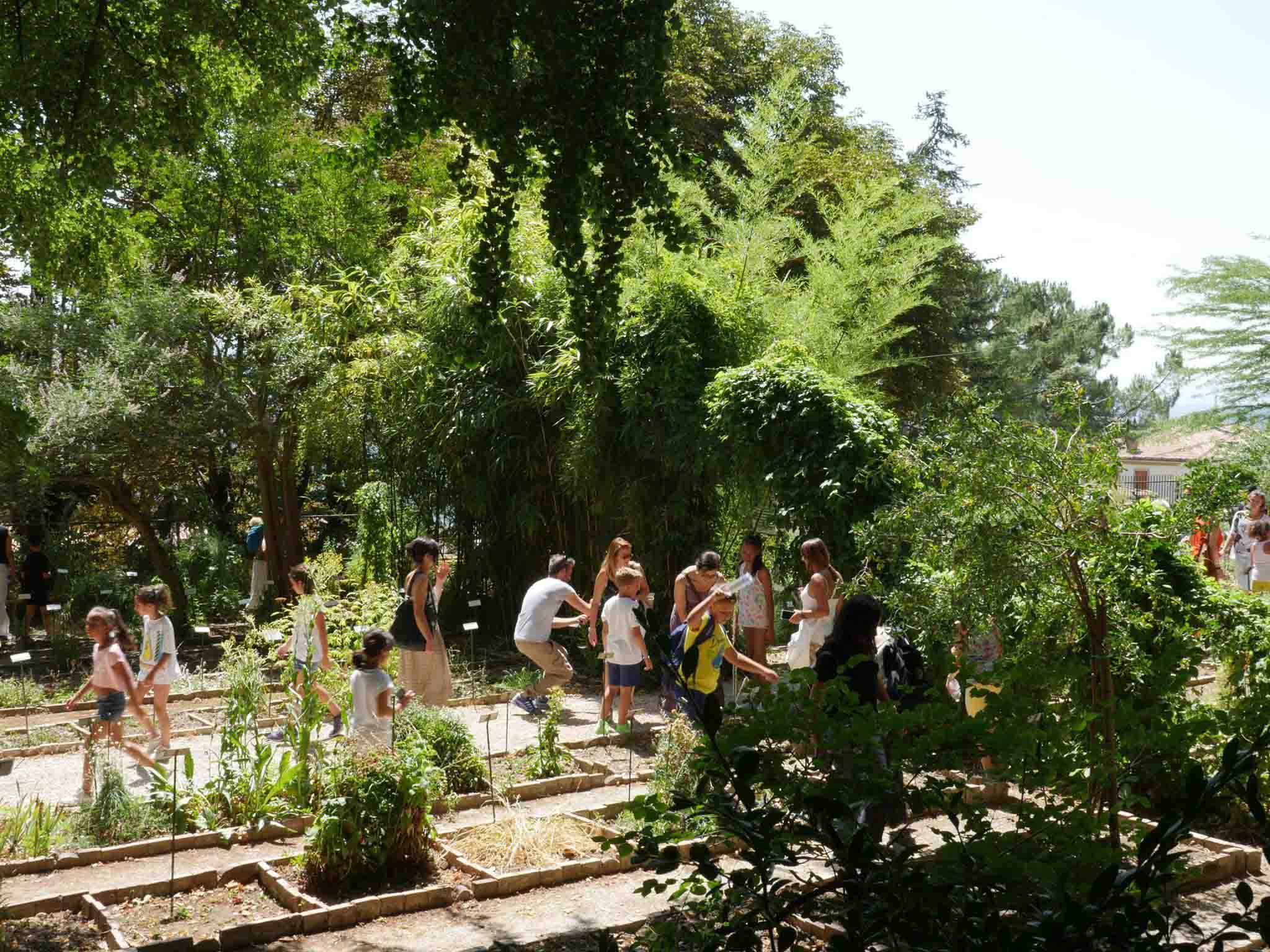 Al momento stai visualizzando Unicam, attività estive all’orto botanico