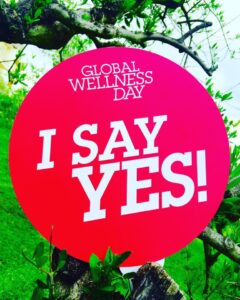 Scopri di più sull'articolo 24-05-2018 Global Wellness Day 2018 a Monteleone di Fermo