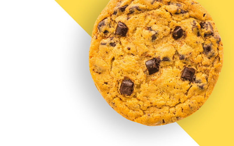 Scopri di più sull'articolo Cookie – Spiegato Semplice