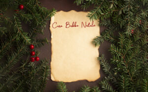 Scopri di più sull'articolo La Lettera a Babbo Natale dell’Azienda di Informatica